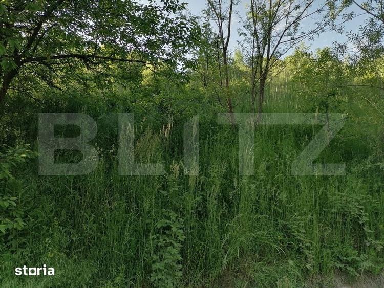 Teren de 14400 mp, în Voinești