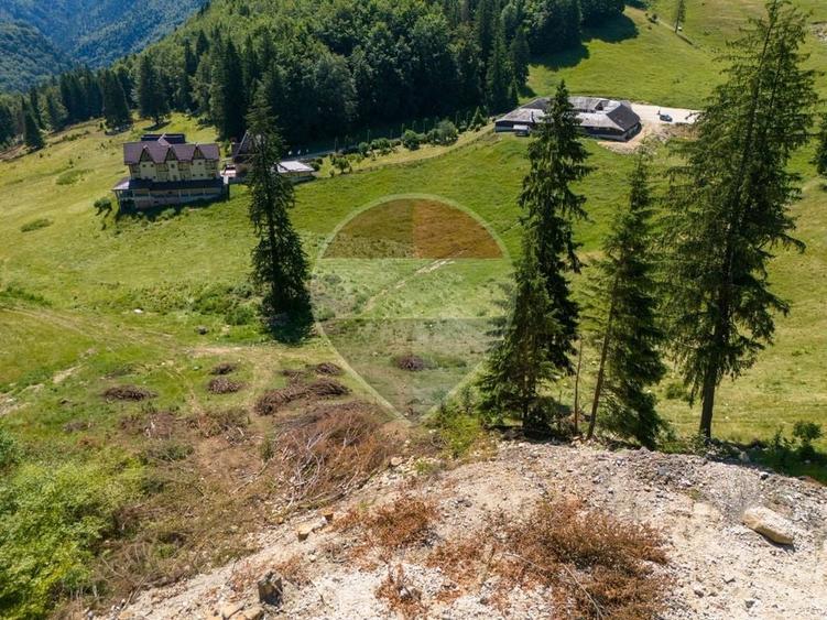 Teren agricol extravilan de 52519 mp, în Dâmbovicioara
