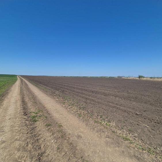 Teren în Grădiștea