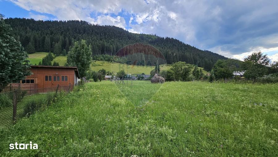 Teren de 4822 mp, în Sadova