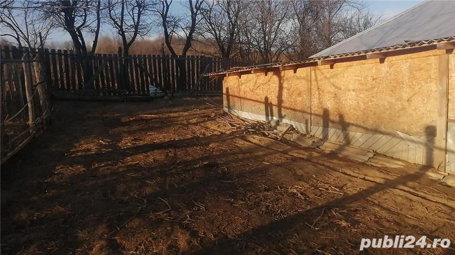 Casă cu 4 camere cu Teren 2000 Mp în Scurta