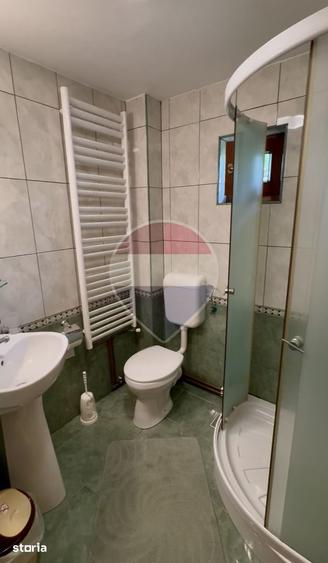 Casă cu 6 camere cu Teren 1123 Mp în Ocna Șugatag