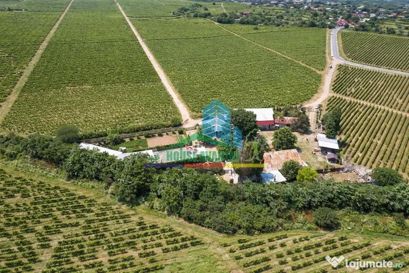 Spațiu comercial, de 1,600 mp, în Vârteșcoiu