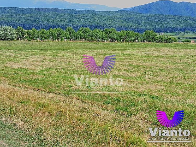 Teren agricol extravilan de 3100 mp, în Rășinari