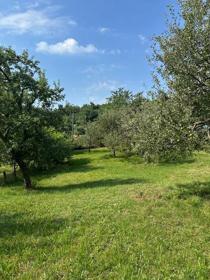 Teren de 1500 mp, în Gemenea-Brătulești