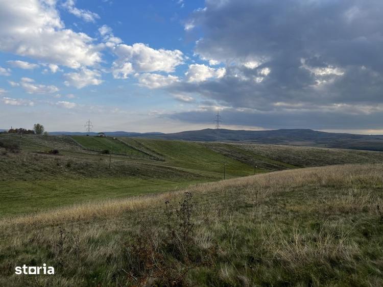 Teren de 5000 mp, în Ciurila