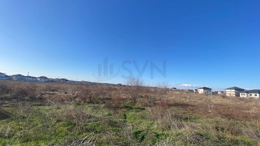 Teren Construcții intravilan de 6500 mp, în Nord