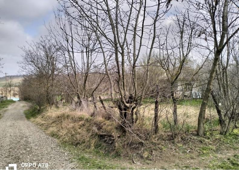 Teren Construcții intravilan de 1727 mp, în Central