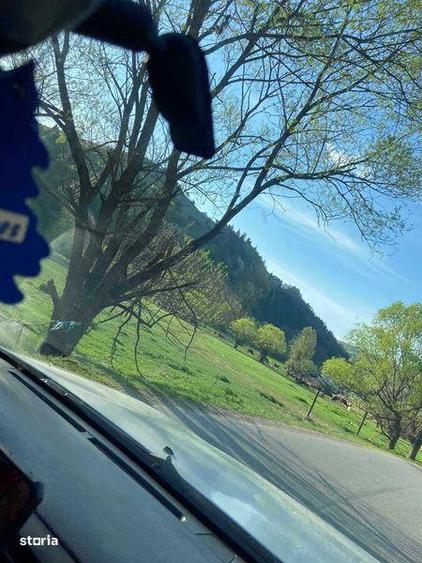 Teren de 13300 mp, în Săcuieu