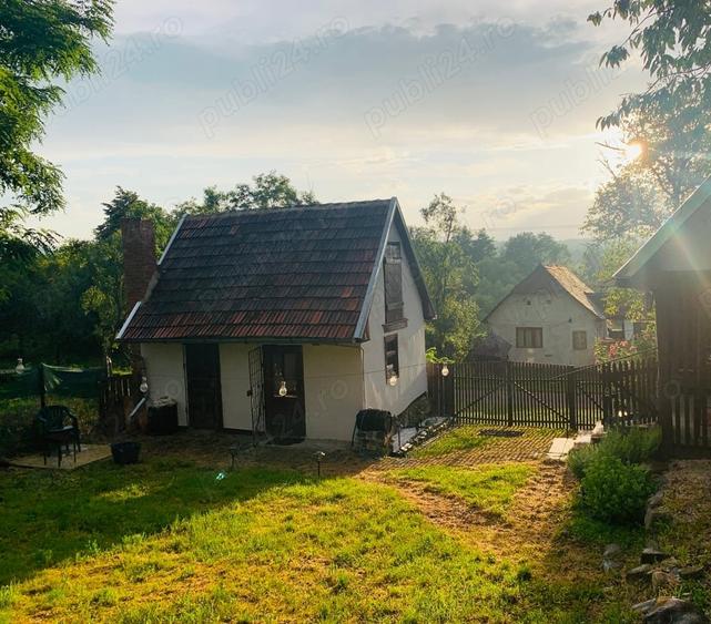 Casă cu 2 camere cu Teren 1500 Mp în Brazii