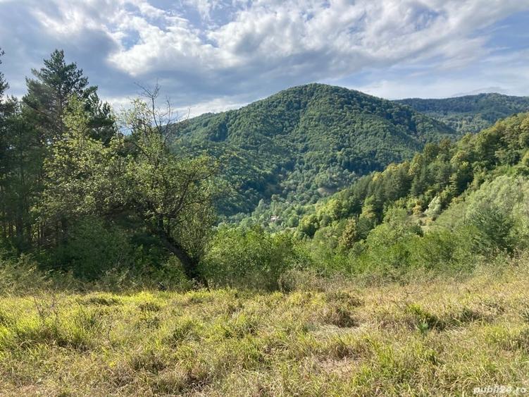 Teren de 4420 mp, în Vinețisu