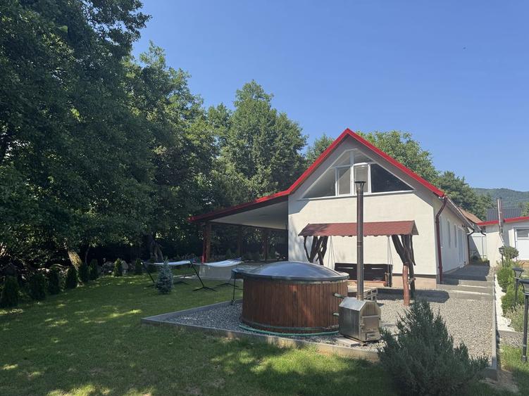Vila de vanzare cu piscina interioara si ciubar - 6