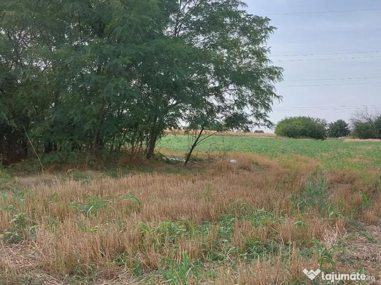 De vanzare sau inchiriere teren 4000 mp - 9
