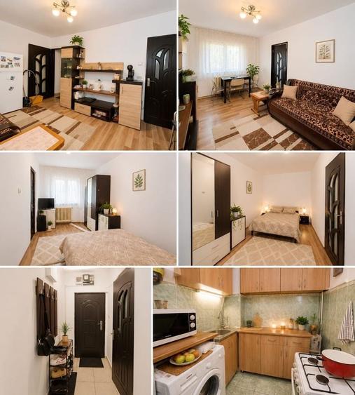 Apartament cu 2 camere în Șagului