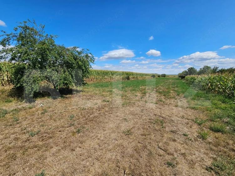 Casa de vanzare in Unirea, cu teren de 2.901 mp - 11