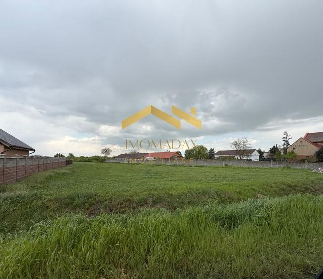 Teren Construcții intravilan de 2492 mp, în Bucovăț (Remetea Mare)