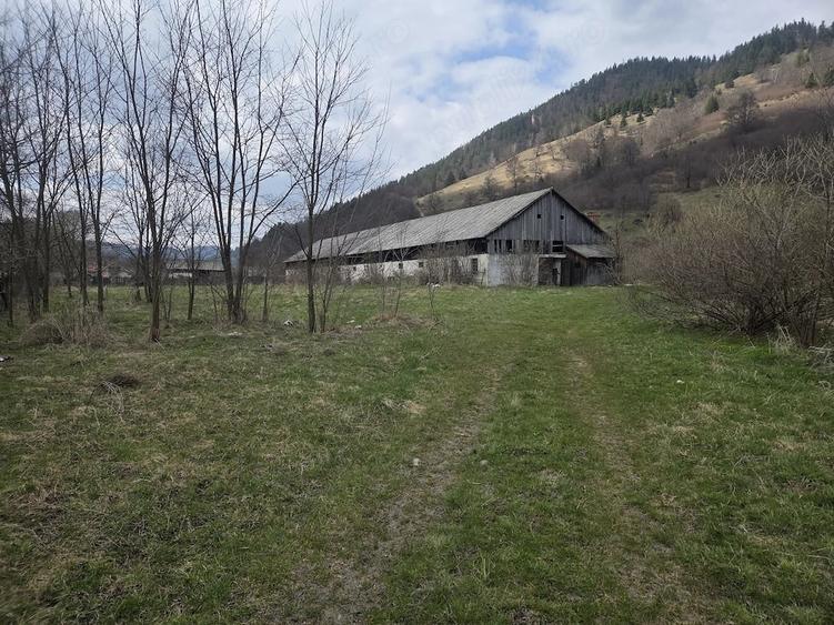 Teren de 28000 mp, în Tulgheș