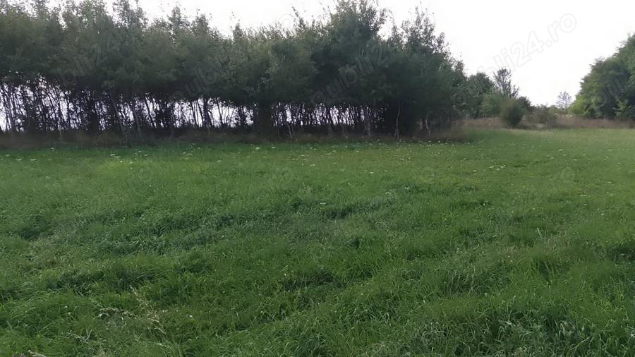 Teren de 4400 mp, în Mitocu Dragomirnei
