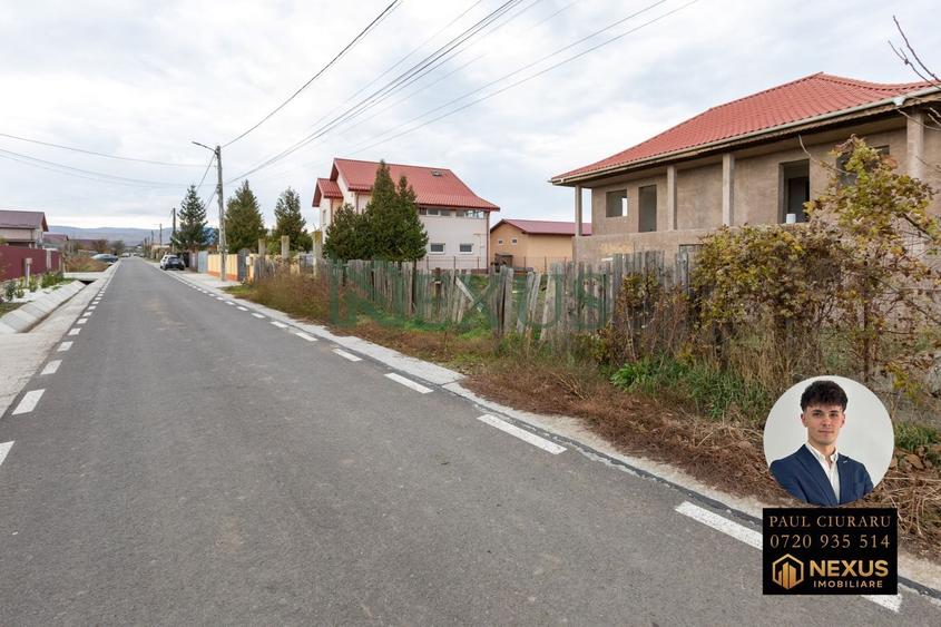 Teren Construcții intravilan de 3942 mp, în Nicolae Bălcescu
