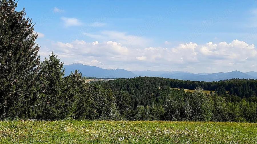 Teren de 11600 mp, în Poiana Mărului