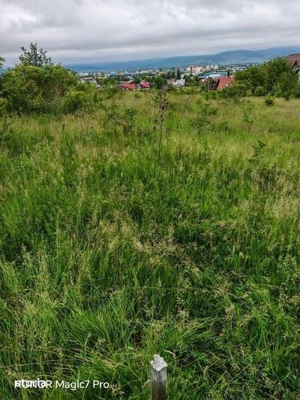 Teren de 2400 mp, în Zăvoi