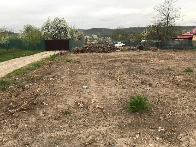 Teren de 532 mp, în Central