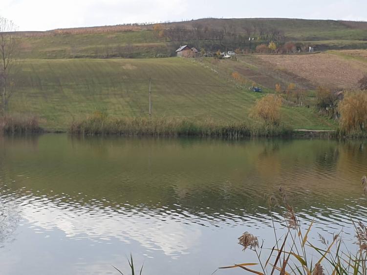 Teren de 12000 mp, în Florești