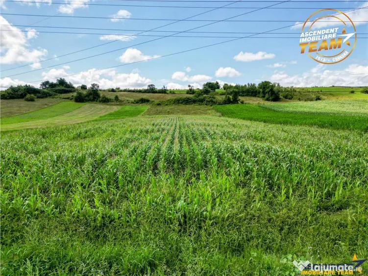 Teren în Sâncraiu
