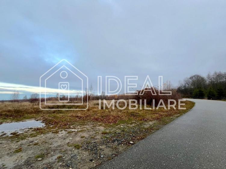 Teren agricol extravilan de 6500 mp, în Cârțișoara
