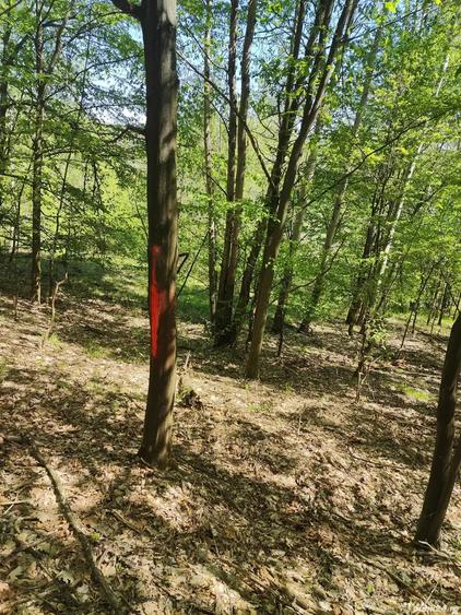 Teren de 4000 mp, în Mădulari