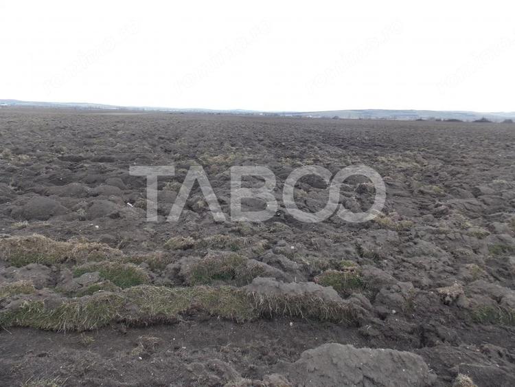 Teren de 10000 mp, în Vest