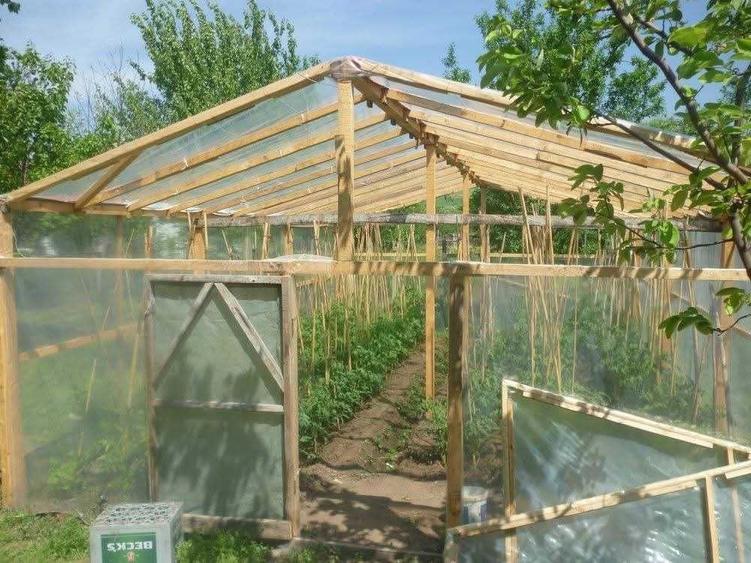 Casă cu 4 camere în Ciuperceni