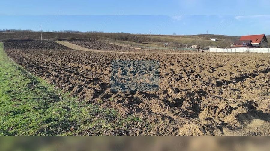 Teren intravilan 7800mp in Livada Iclod, utilitati, 63 euro/mp - 4