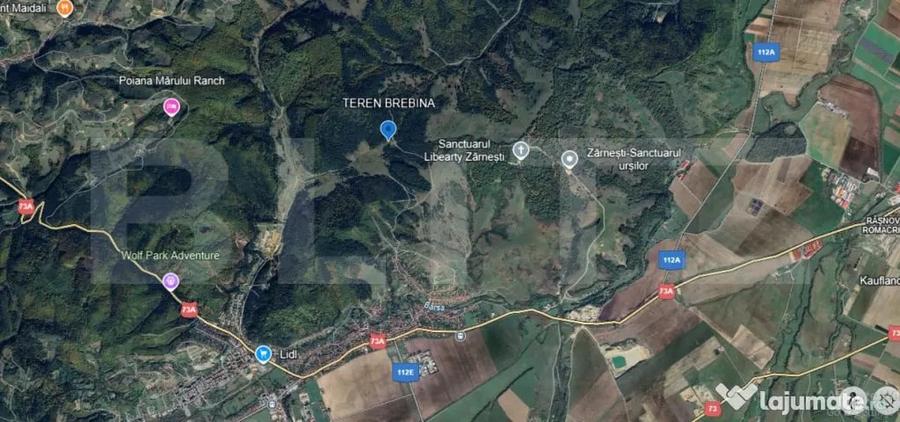 Teren de 1861 mp, în Brebina