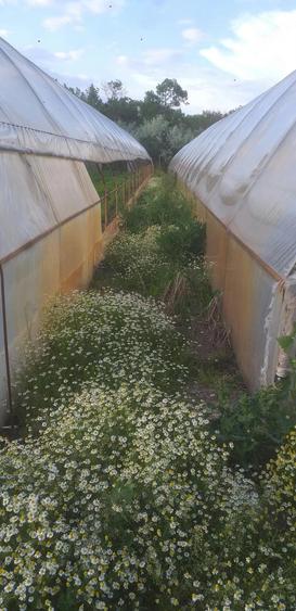 Teren de 5500 mp, în Vărsătura