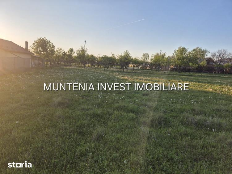 Teren de 3533 mp, în Poiana Lacului