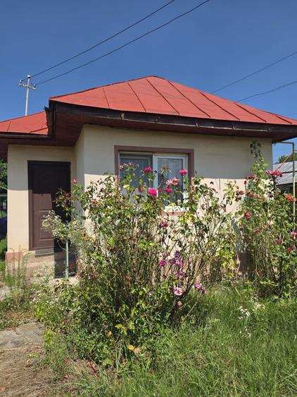 Casa+teren de vanzare - 3
