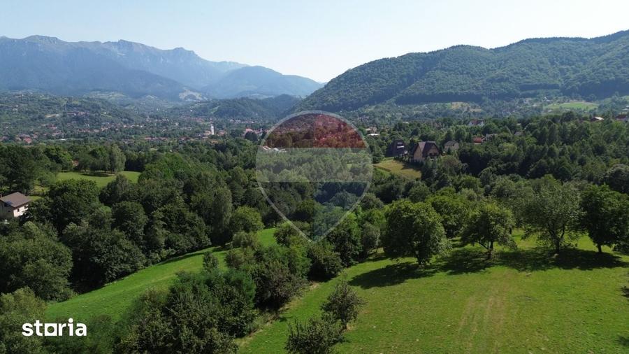 Teren 3,000mp Predelut / Strada Pe Tarina - 4