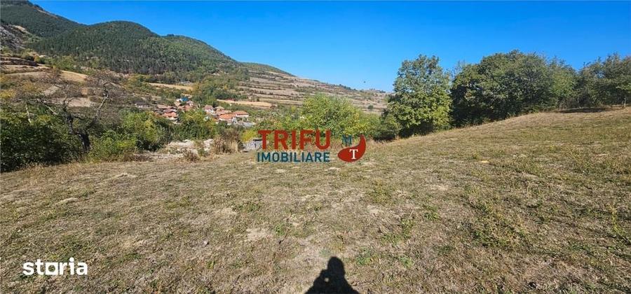 Teren de 9770 mp, în Meteș