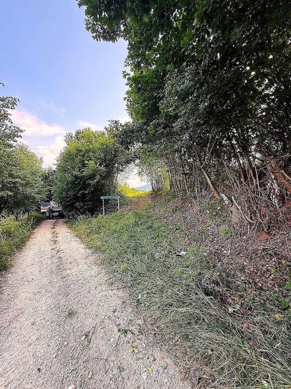 Teren de 11600 mp, în Poiana Mărului