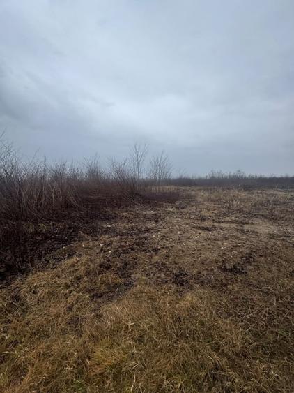 Teren Construcții extravilan de 8200 mp, în Tăuții-Măgherăuș