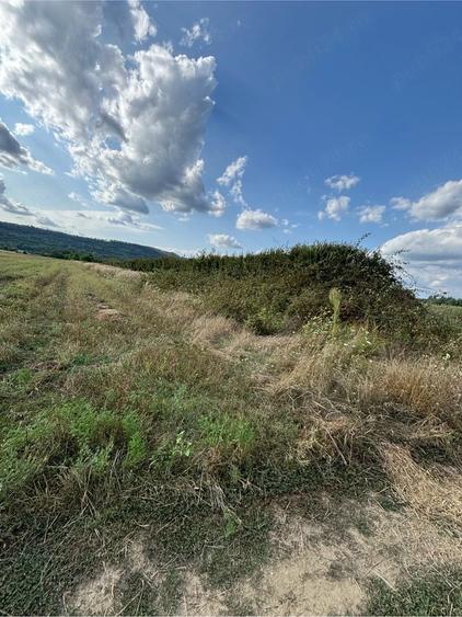 Teren de 8400 mp, în Țițești