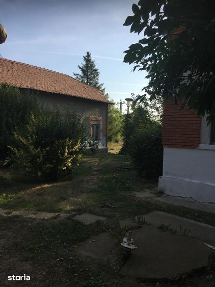 Teren de 49000 mp, în Iancu Jianu
