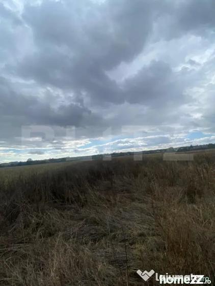 Teren de 2500 mp, în Central