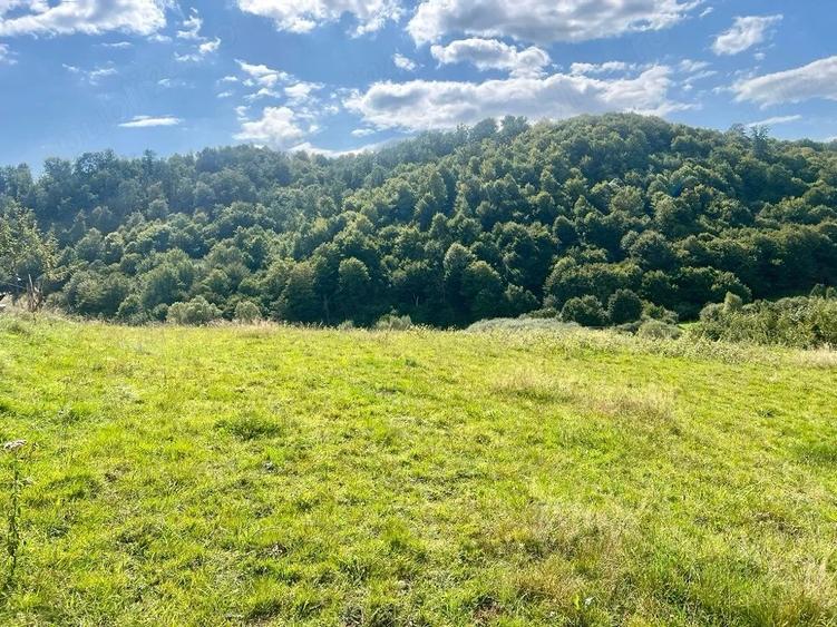 Teren extravilan 60 ari in Ro?ia, Bihor Langa parau, ideal pentru glamping, cabane sau ferma - 1