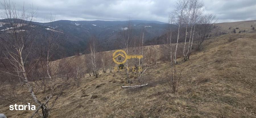 Teren de 2025 mp, în Rășinari