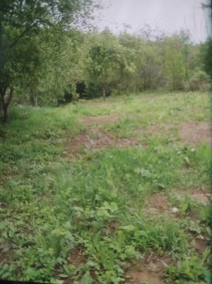 Teren de 1100 mp, în Seaca (Călimănești)