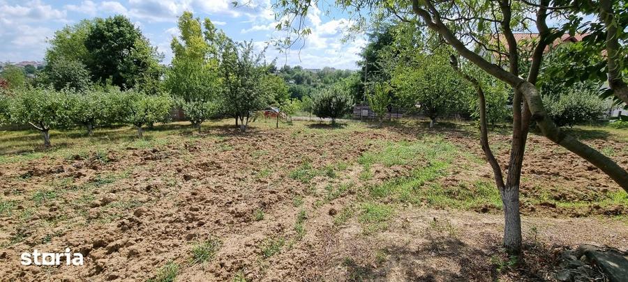 Casă cu 5 camere cu Teren 2000 Mp în Central