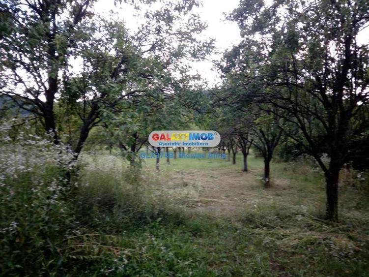 Teren Construcții intravilan de 12765 mp, în Bogați