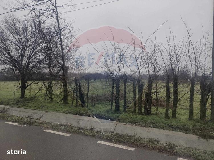 Spațiu comercial, în Cocora